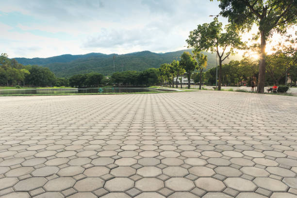 Best Local Driveway Pavers  in Edgerton, KS